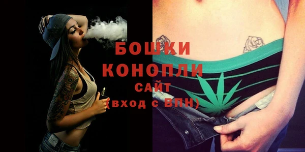 ешки Осинники