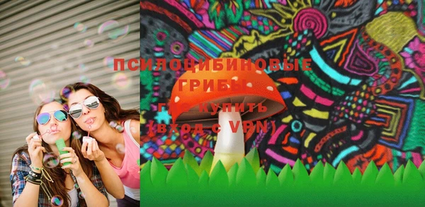 индика Остров
