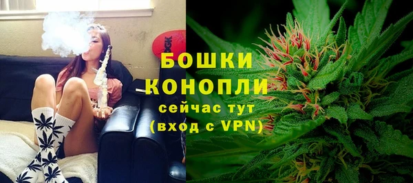 индика Остров
