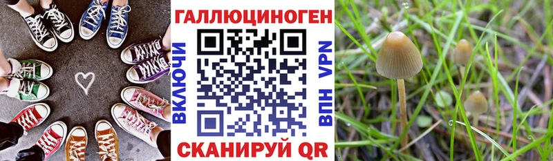 mega зеркало наркота Похвистнево Галлюциногенные грибы Psilocybe