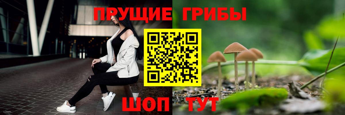 где можно купить наркотик  Вход с VPN  Похвистнево  Галлюциногенные грибы ЛСД 