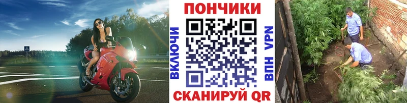 что такое   Похвистнево  МАРИХУАНА марихуана 